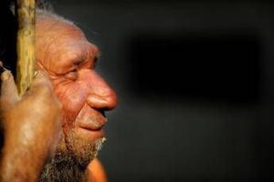 La rivincita dell’uomo di Neanderthal, non fu soppiantato dai Sapiens perché meno intelligente﻿