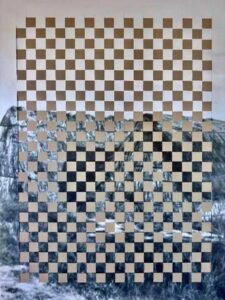 Al Mic Faenza Giorgia Severi presenta ‘Losing Cultural Landscapes’