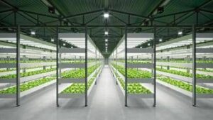 Cristalfarma prosegue gli investimenti sui suoi integratori avanzati e rafforza quelli sul vertical
