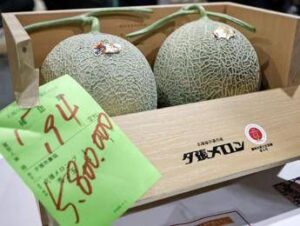 Due meloni venduti a 31mila euro, l’asta choc in Giappone per i frutti ‘d’oro’