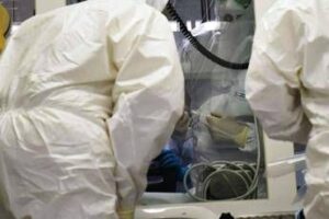 Ebola, la conferma di un focolaio in Congo: “246 casi sospetti e 65 morti”
