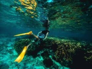 Italiani morti alle Maldive durante immersione, lo pneumologo: “Con concentrazioni elevate l’ossigeno diventa tossico”