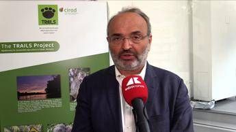 Sostenibilità, Pratesi (Eiis): “Nuove generazioni devono assumersi responsabilità”