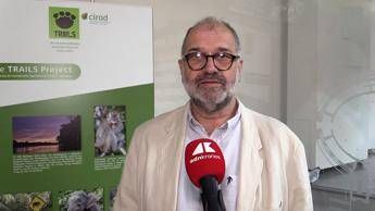 Sostenibilità, Rival (Cirad): “Con Trails integrazione tra foreste e palma da olio”