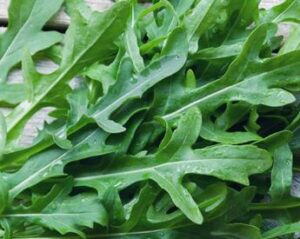 Dalla rucola un aiuto contro obesità e glicemia alta, lo studio