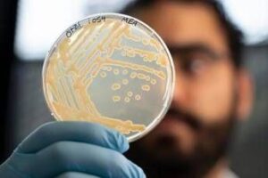 Mappato il microbioma di Ötzi l’uomo dei ghiacci. La scoperta: super lieviti resistenti al freddo, primo test il pane