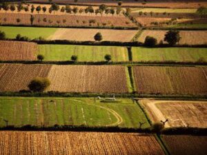 Banca nazionale delle Terre Agricole (Bta), al via nona edizione: in vendita 8.863 ettari per un valore di oltre 121 milioni di euro