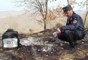 Incendi, Carabinieri Forestali: “98% causati dall’uomo, in primi 6 mesi 3800 ettari bruciati”