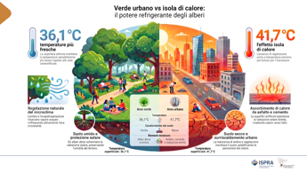 Isole di calore urbane, fino a -4°C con più alberi e suoli naturali