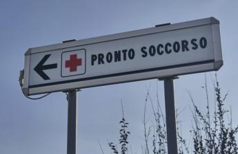 Morso di zecca e rischio encefalite, Bassetti: “Grave infezione virale, massima attenzione”